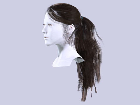 Ponytail Female Hair 3D मॉडल