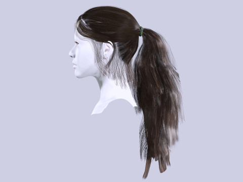 Ponytail Female Hair 3D मॉडल