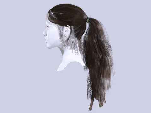 Ponytail Female Hair 3D Model