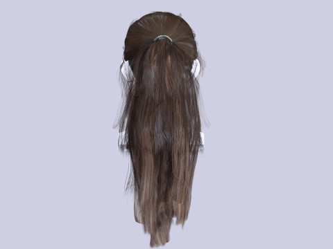 Ponytail Female Hair 3D मॉडल