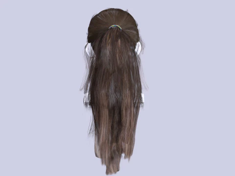 Ponytail Female Hair 3D Model