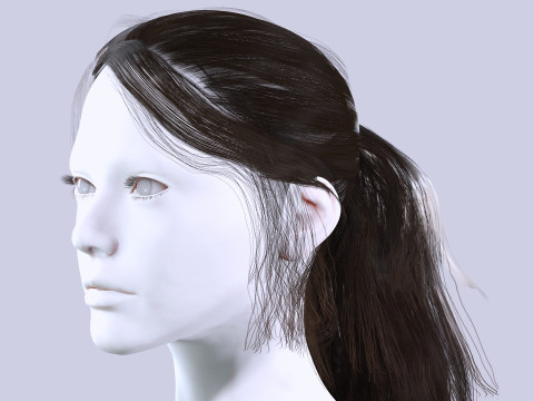 Ponytail Female Hair 3D मॉडल