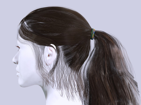 Ponytail Female Hair 3D मॉडल
