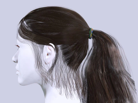 Ponytail Female Hair 3D Model