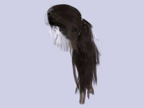 Ponytail Female Hair 3D मॉडल