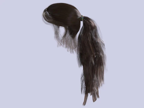 Ponytail Female Hair 3D Model