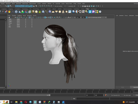 Ponytail Female Hair 3D मॉडल