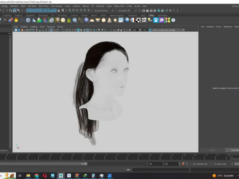 Ponytail Female Hair 3D Model
