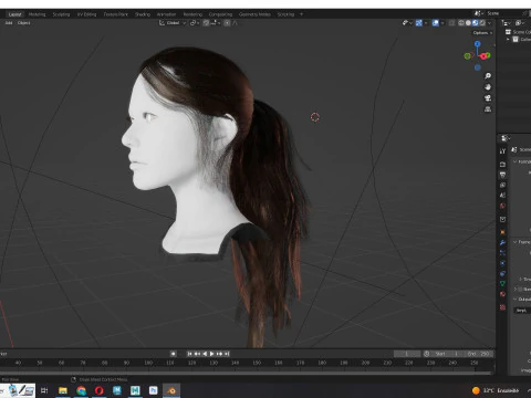 Ponytail Female Hair 3D Model