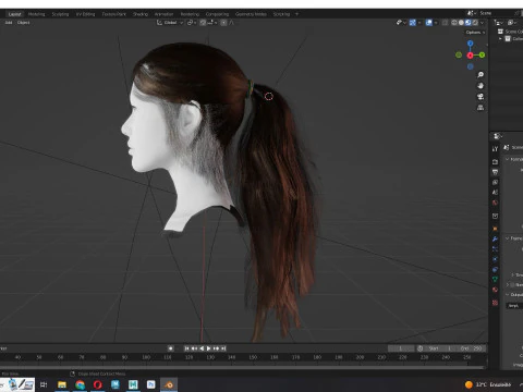 Ponytail Female Hair 3D Model