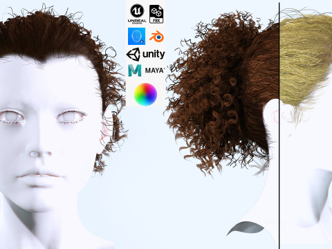 Realistic Curly Ponytail Hair 3D Model