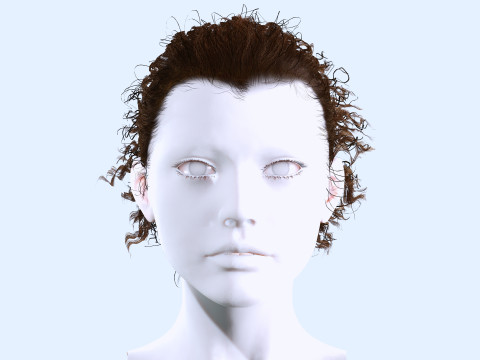 Realistic Curly Ponytail Hair 3D 모델