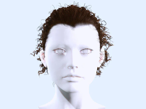 Realistic Curly Ponytail Hair 3D Model