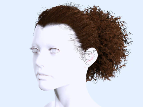Realistic Curly Ponytail Hair 3D Model