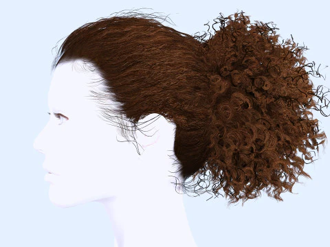 Realistic Curly Ponytail Hair 3D Model