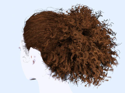 Realistic Curly Ponytail Hair 3D Model