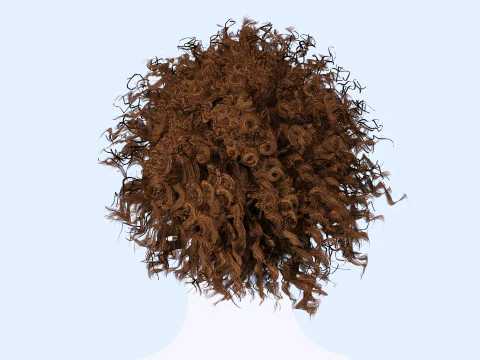 Realistic Curly Ponytail Hair 3D Model