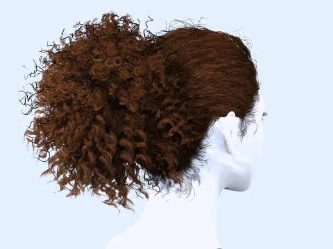 Realistic Curly Ponytail Hair 3D Model