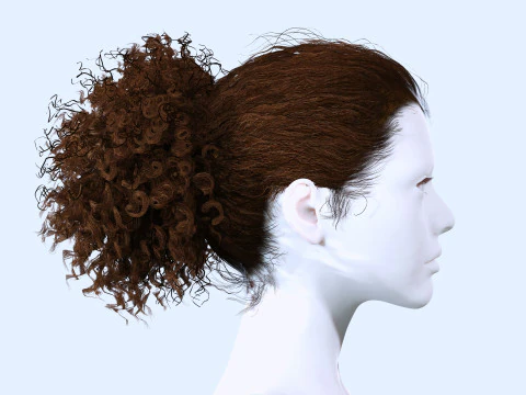 Realistic Curly Ponytail Hair 3D Model