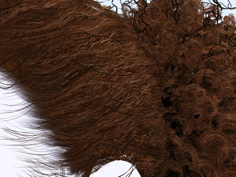 Realistic Curly Ponytail Hair 3D Model