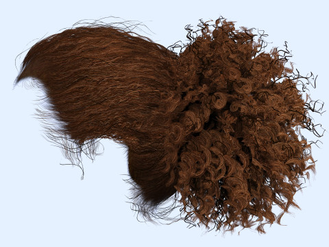 Realistic Curly Ponytail Hair 3D 모델