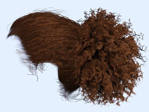 Realistic Curly Ponytail Hair 3D Model