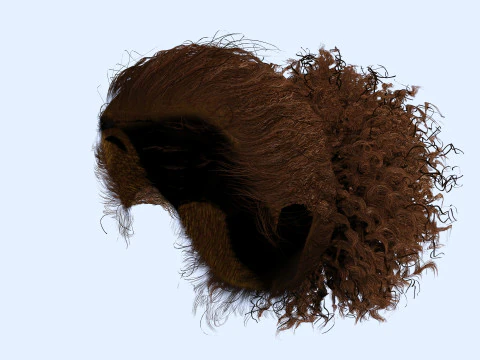 Realistic Curly Ponytail Hair 3D Model