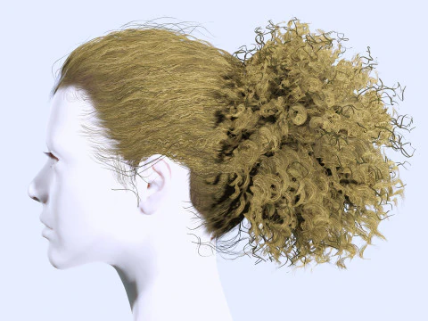 Realistic Curly Ponytail Hair 3D Model