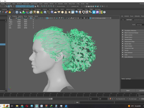 Realistic Curly Ponytail Hair 3D 모델