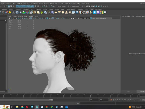 Realistic Curly Ponytail Hair 3D Model