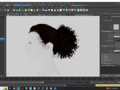Realistic Curly Ponytail Hair 3D 모델