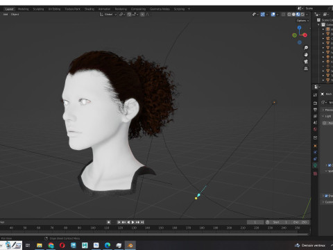 Realistic Curly Ponytail Hair 3D 모델