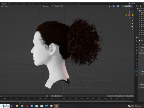 Realistic Curly Ponytail Hair 3D 모델