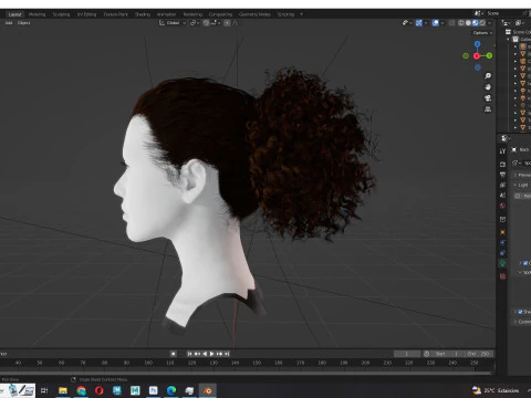 Realistic Curly Ponytail Hair 3D Model