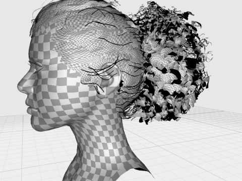Realistic Curly Ponytail Hair 3D 모델