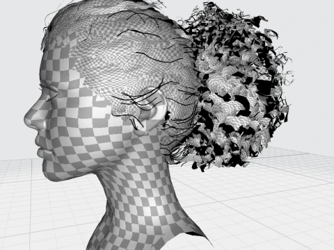 Realistic Curly Ponytail Hair 3D Model