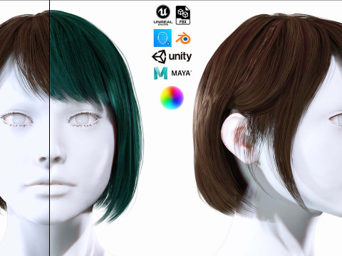 Female Bob Hair 3D Model
