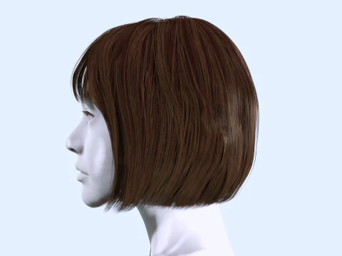 Female Bob Hair 3D Model