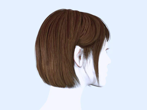 Female Bob Hair 3D Model