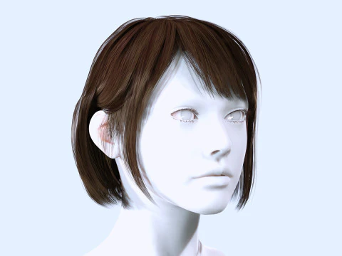 Female Bob Hair 3D Model