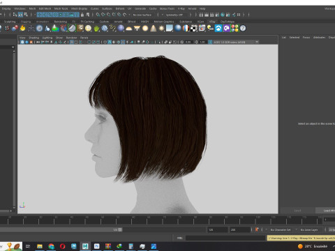 Female Bob Hair 3D 模型