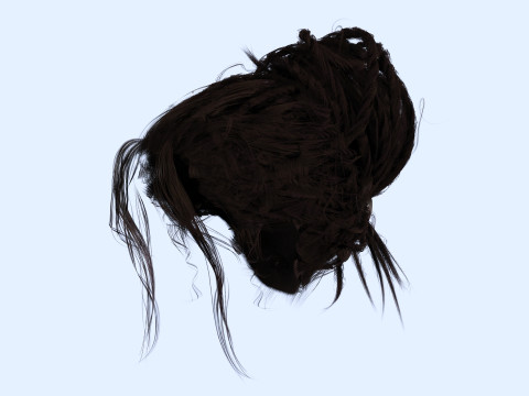 Female Curly Bun Hair 3D-Modell