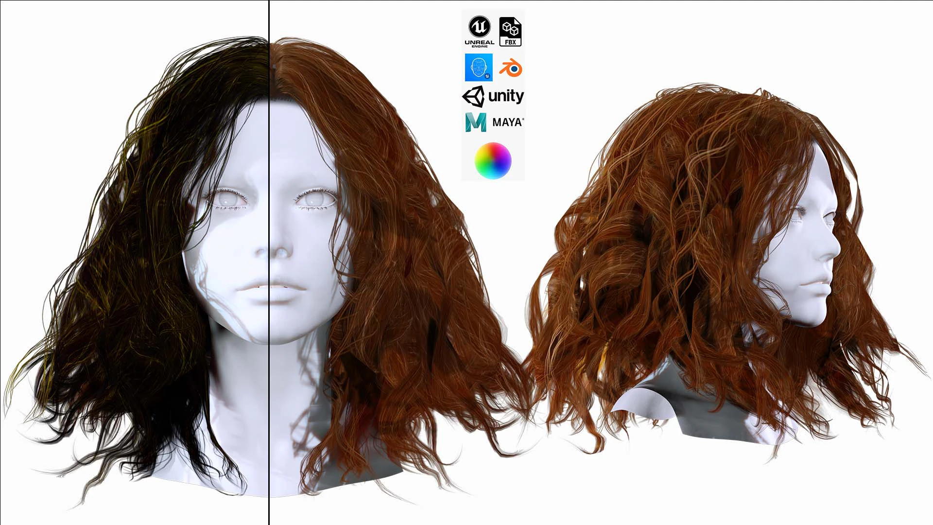 Realistic Female Curly Hair 3D Model .c4d .max .obj .3ds .fbx .stl .blend 