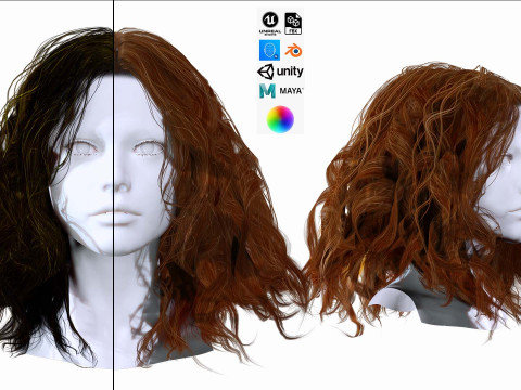 Realistic Female Curly Hair 3D Model