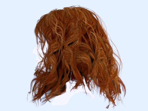 Realistic Female Curly Hair Modello 3D