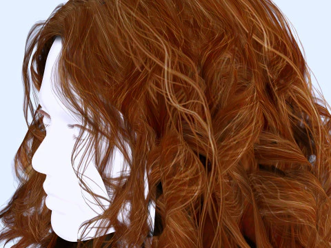 Realistic Female Curly Hair 3D Model
