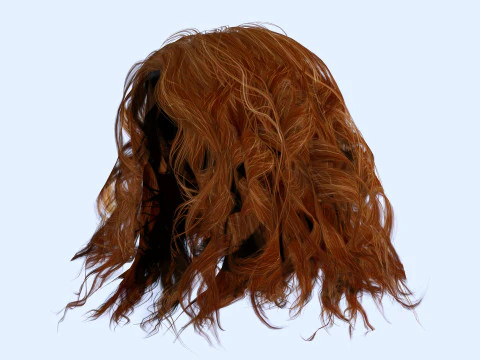 Realistic Female Curly Hair 3D Model