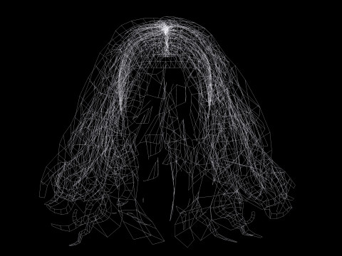 Realistic Female Curly Hair Modello 3D