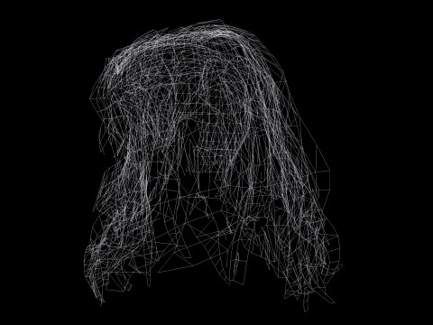Realistic Female Curly Hair Modello 3D