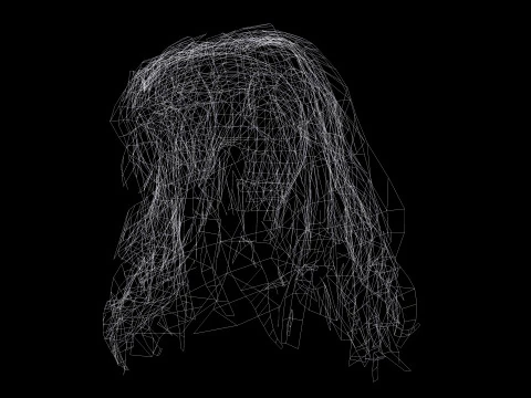 Realistic Female Curly Hair 3D Model